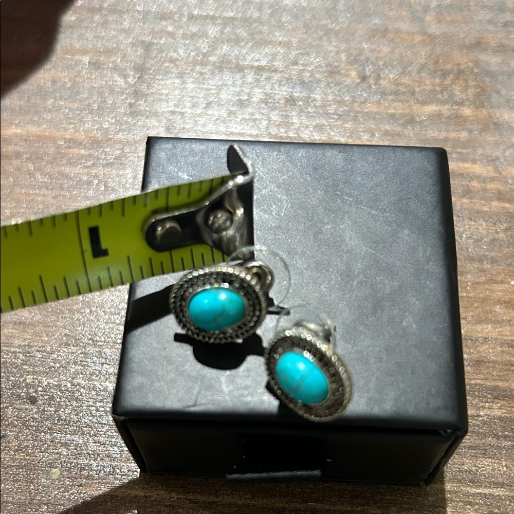 Silver and Turquoise Earrings - Picture 1 of 3